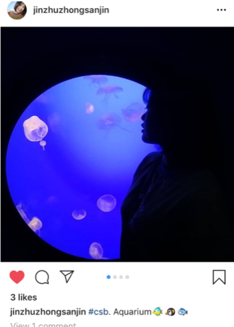 CSB Instagram Story XU 19